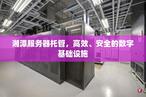 湘潭服务器托管，高效、安全的数字基础设施