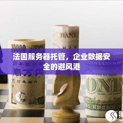 法国服务器托管，企业数据安全的避风港