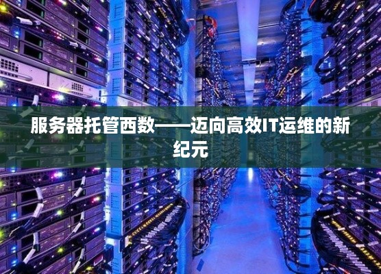 服务器托管西数——迈向高效IT运维的新纪元