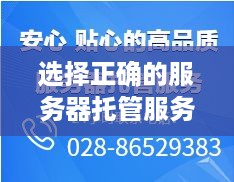 选择正确的服务器托管服务，确保业务稳健运行