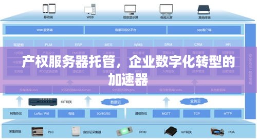 产权服务器托管，企业数字化转型的加速器