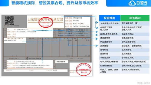 服务器托管发票，企业财务管理的关键一环