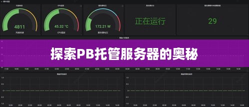 探索PB托管服务器的奥秘