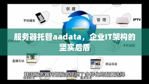 服务器托管aadata，企业IT架构的坚实后盾