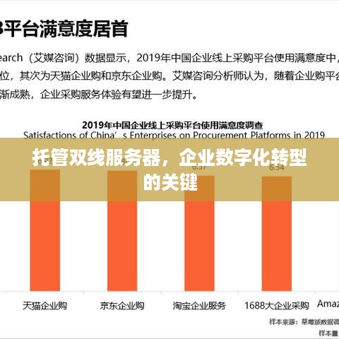 托管双线服务器，企业数字化转型的关键