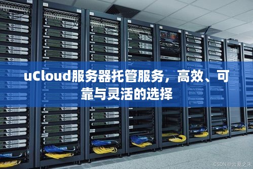 uCloud服务器托管服务，高效、可靠与灵活的选择