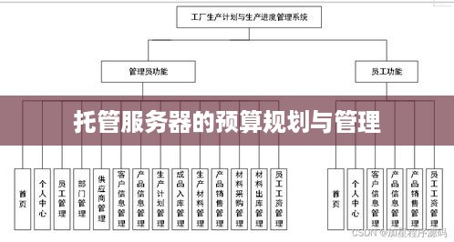 托管服务器的预算规划与管理