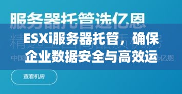 ESXi服务器托管，确保企业数据安全与高效运维的基石