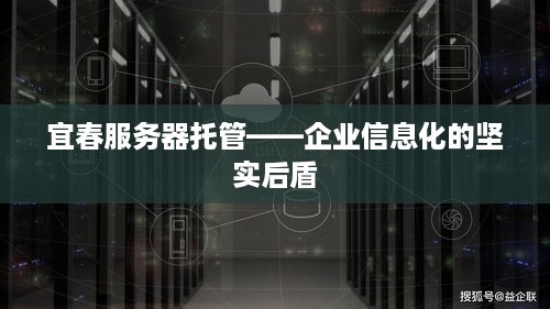 宜春服务器托管——企业信息化的坚实后盾