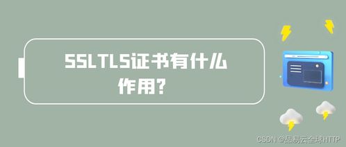 SSL托管服务器: 构建安全的网络通信桥梁