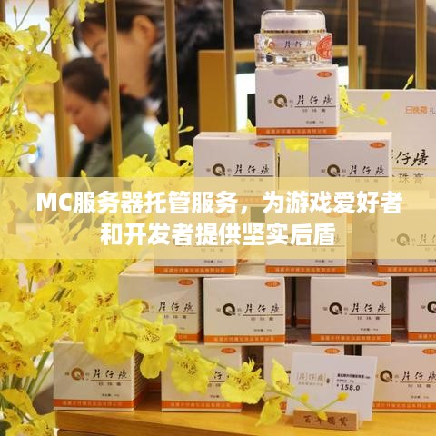 MC服务器托管服务，为游戏爱好者和开发者提供坚实后盾