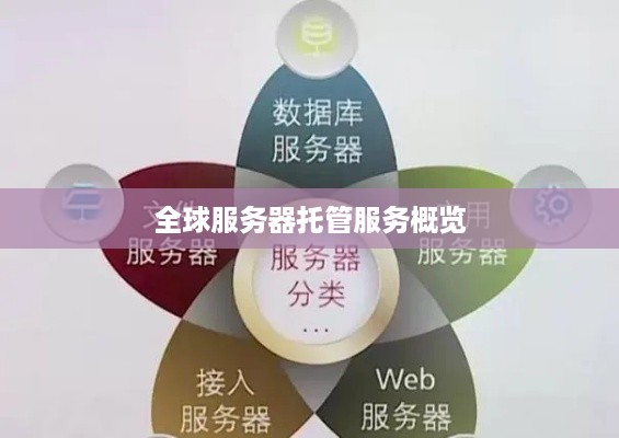 全球服务器托管服务概览