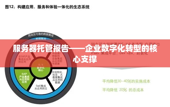 服务器托管报告——企业数字化转型的核心支撑