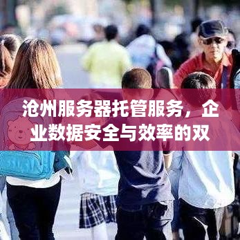 沧州服务器托管服务，企业数据安全与效率的双赢选择