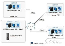 曙光服务器托管——企业IT的坚实后盾