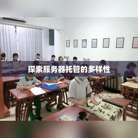 探索服务器托管的多样性