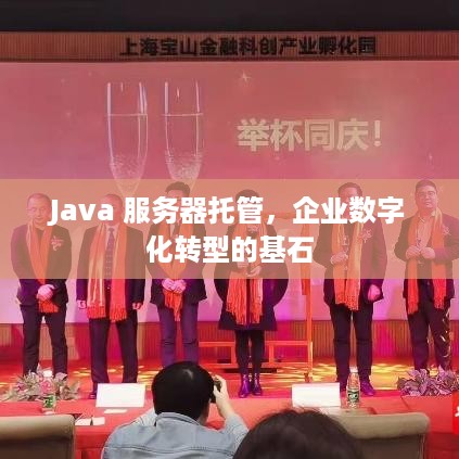 Java 服务器托管，企业数字化转型的基石