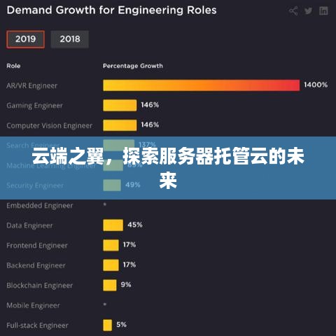 云端之翼，探索服务器托管云的未来