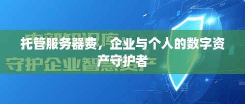 托管服务器费，企业与个人的数字资产守护者