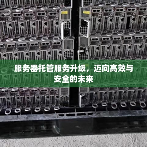 服务器托管服务升级，迈向高效与安全的未来