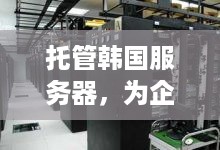 托管韩国服务器，为企业与个人提供稳定高效的网络空间