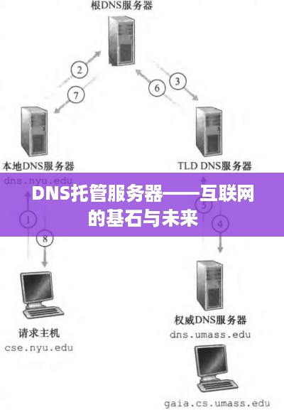 DNS托管服务器——互联网的基石与未来