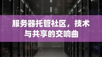 服务器托管社区，技术与共享的交响曲