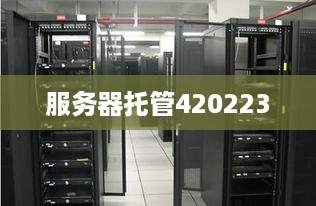 服务器托管420223