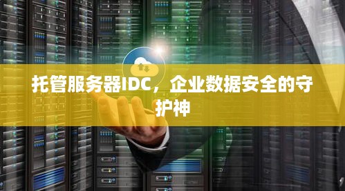 托管服务器IDC，企业数据安全的守护神