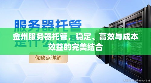 金州服务器托管，稳定、高效与成本效益的完美结合