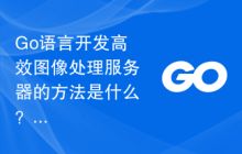 探索Go语言在托管服务器中的应用与实践