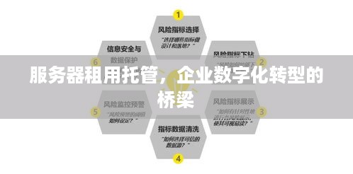 服务器租用托管，企业数字化转型的桥梁