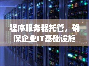 程序服务器托管，确保企业IT基础设施的稳定和安全