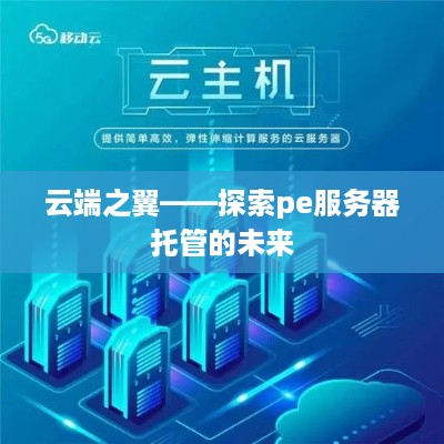 云端之翼——探索pe服务器托管的未来