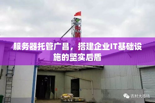 服务器托管广昌，搭建企业IT基础设施的坚实后盾