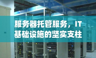 服务器托管服务，IT基础设施的坚实支柱