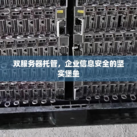 双服务器托管，企业信息安全的坚实堡垒