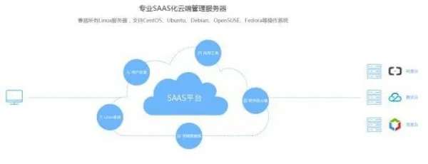 云时代下的SaaS服务器托管服务，安全、效率与未来趋势