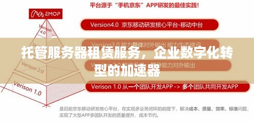 托管服务器租赁服务，企业数字化转型的加速器