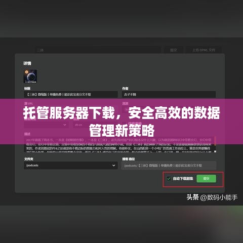 托管服务器下载，安全高效的数据管理新策略