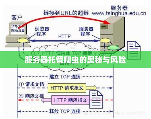 服务器托管爬虫的奥秘与风险