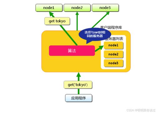 探索IPFS托管服务器的奥秘