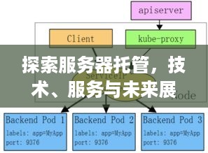 探索服务器托管，技术、服务与未来展望