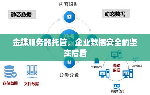 金蝶服务器托管，企业数据安全的坚实后盾