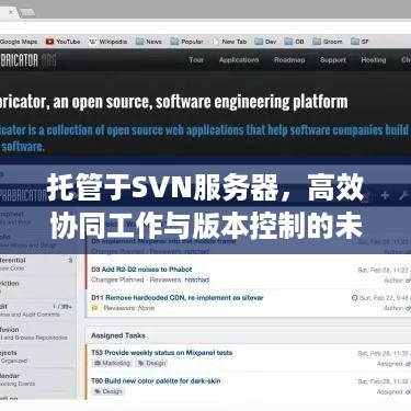 托管于SVN服务器，高效协同工作与版本控制的未来趋势