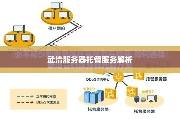 武清服务器托管服务解析