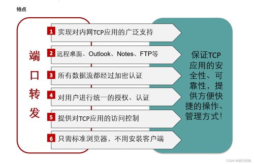 VPN服务器托管服务，企业与个人数据安全的新选择