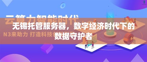 无锡托管服务器，数字经济时代下的数据守护者