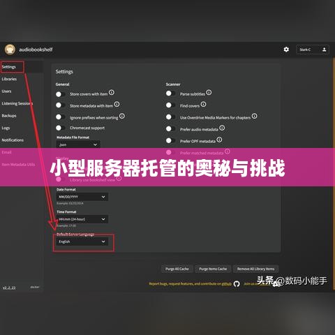 小型服务器托管的奥秘与挑战