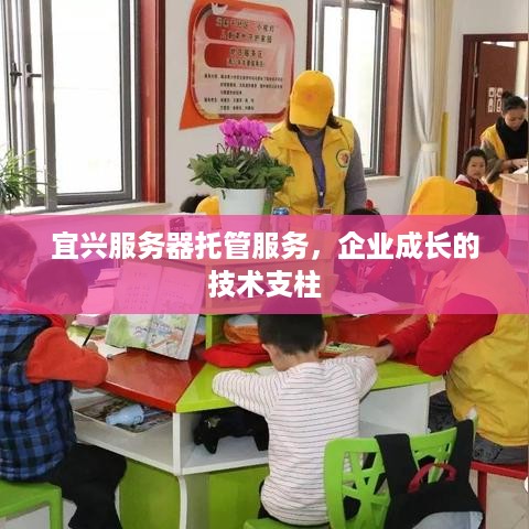 宜兴服务器托管服务，企业成长的技术支柱